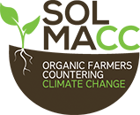 logo-solmacc.png
