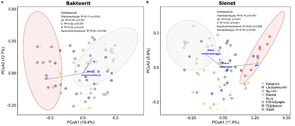 image-3.png