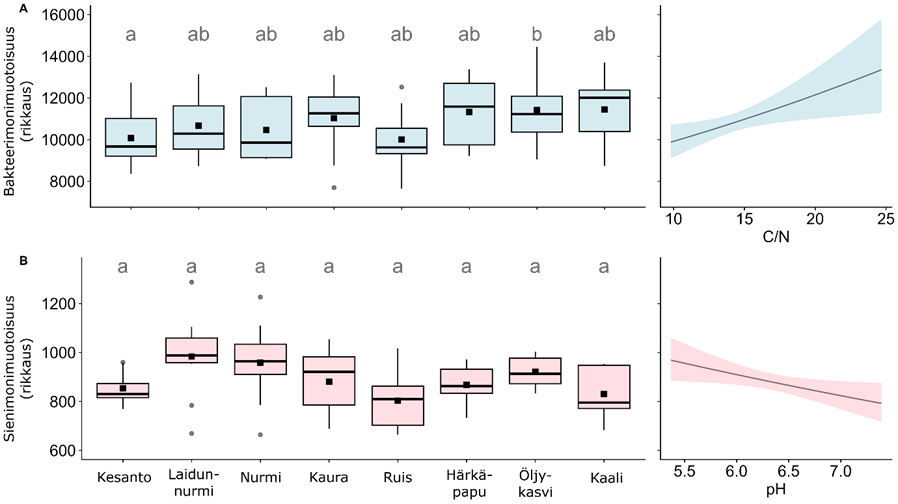 image-4.png