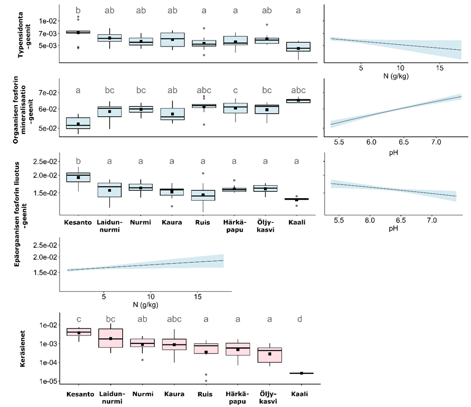 image-5.png