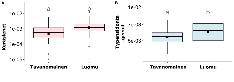 image-6.png