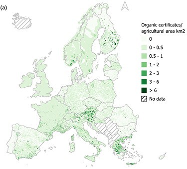 Kuva-1-Sandstrom-et-al-2025-a-1.jpg