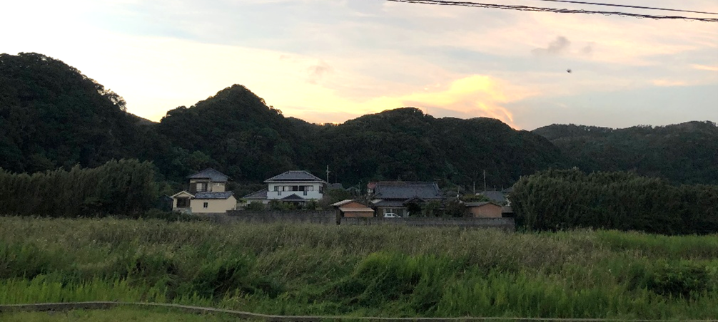 Can communities shape the sustainable future of farming and rural areas? Insights from Japan