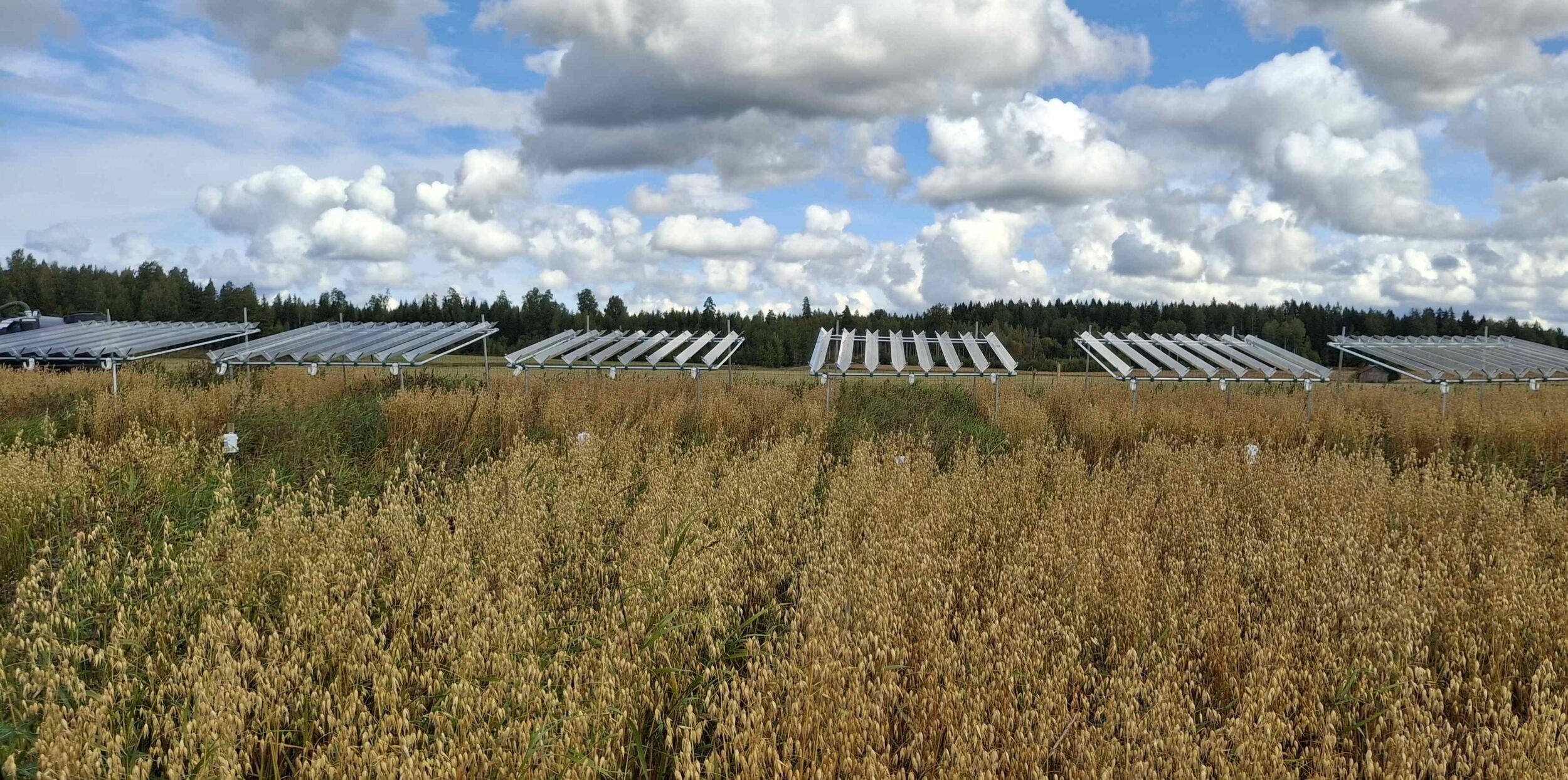 WFF-kourut_vaakaPieni-2500x1244.jpg